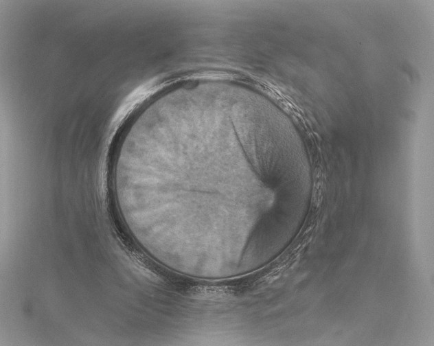 X0000115450296200912021012