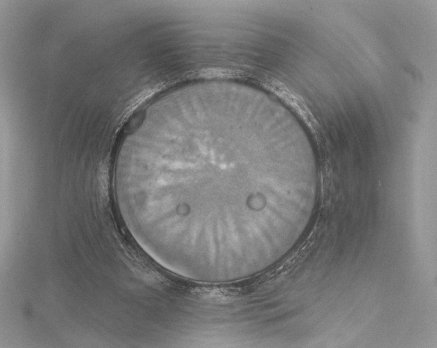 X0000115450297200912021012