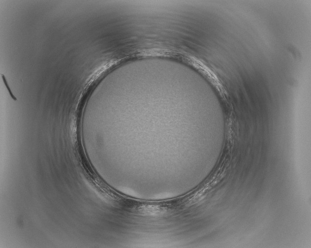 X0000115450298200912021012