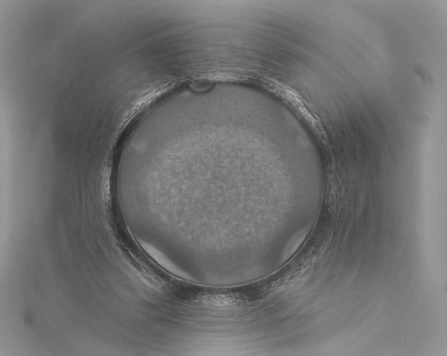 X0000115450299200912021012