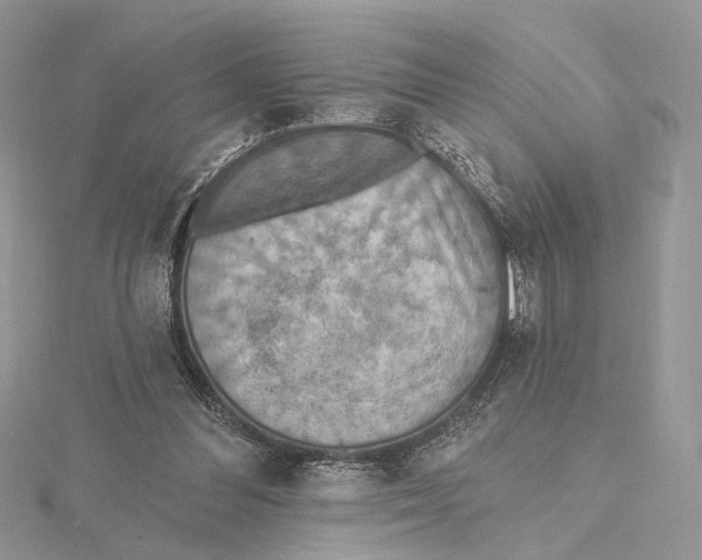 X0000115450300200912021012