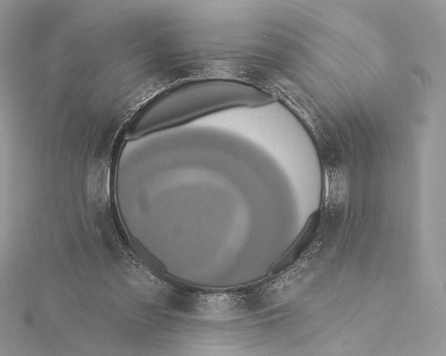 X0000115450301200912021012