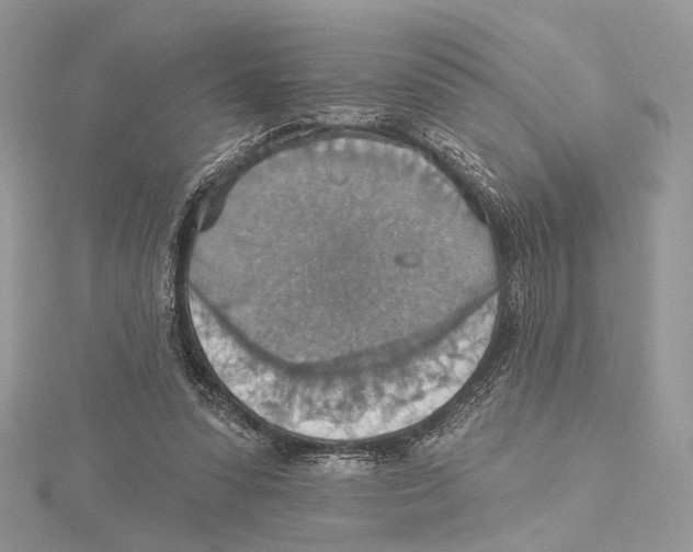 X0000115450303200912021012