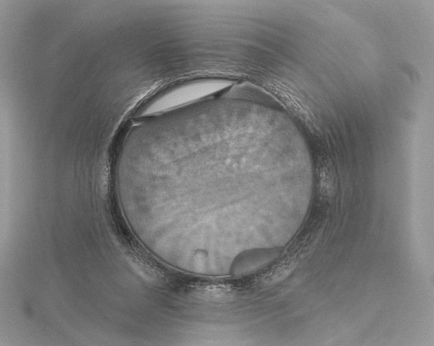 X0000115450304200912021012