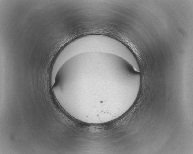 X0000115450305200912021012