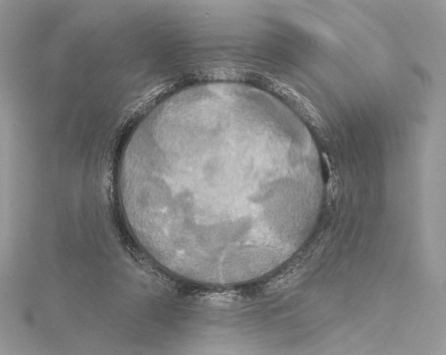 X0000115450306200912021012