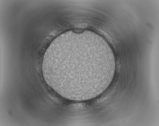 X0000115450307200912021012