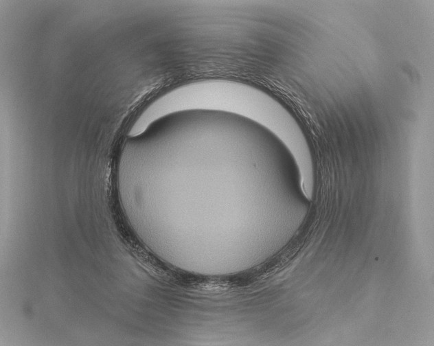 X0000115450308200912021012