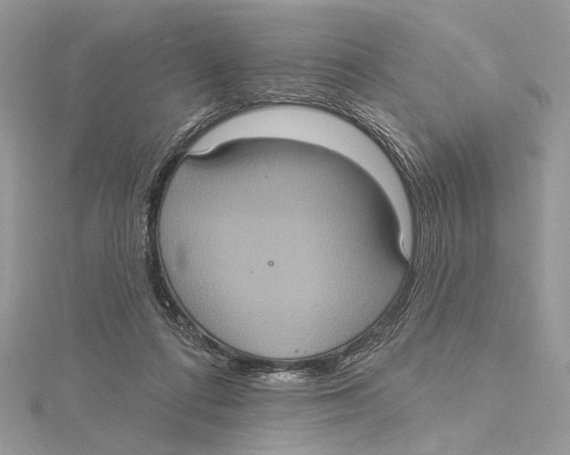 X0000115450312200912021012