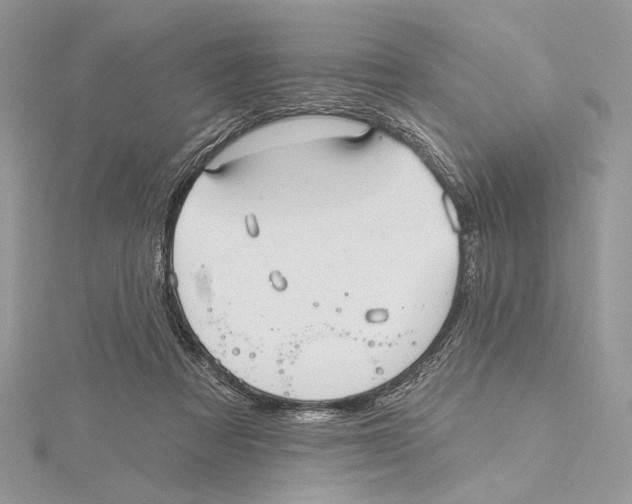 X0000115450313200912021012