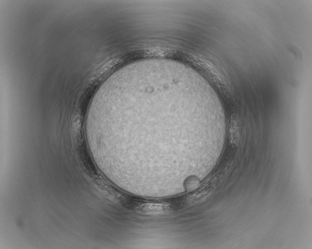 X0000115450314200912021012