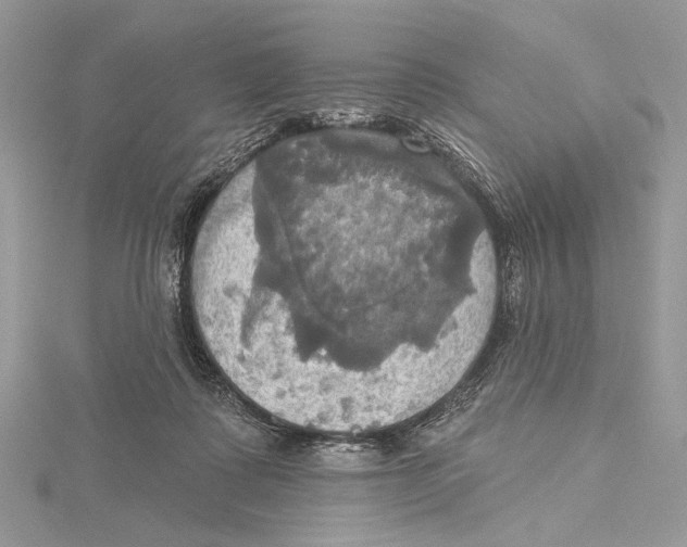 X0000115450315200912021012