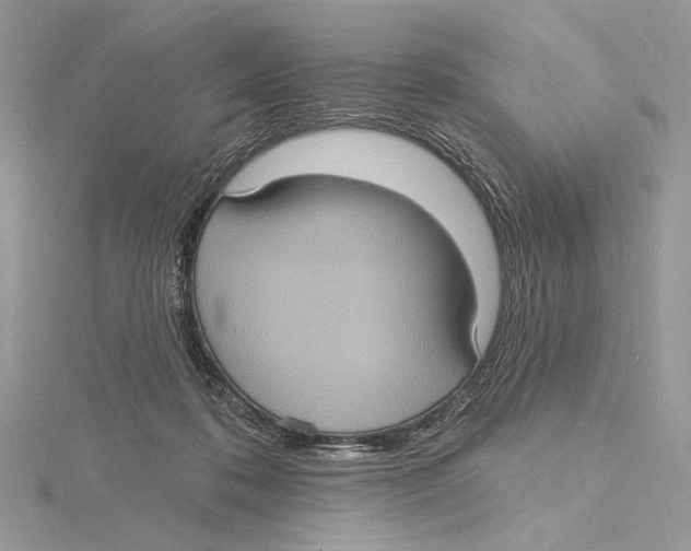 X0000115450316200912021012