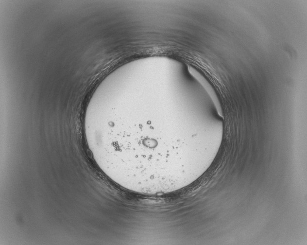 X0000115450317200912021012