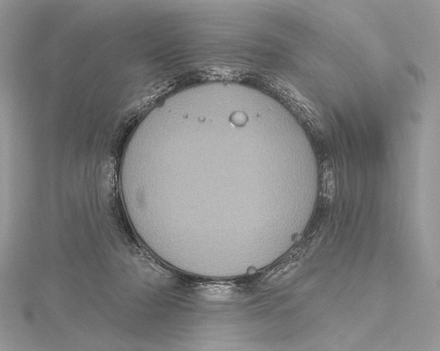 X0000115450318200912021011