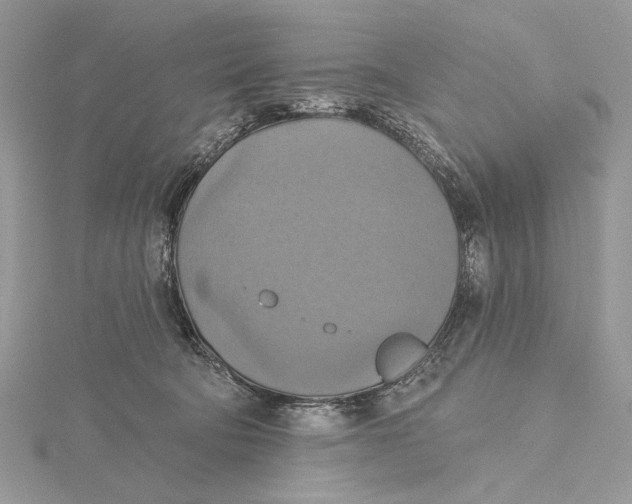 X0000115450322200912021011