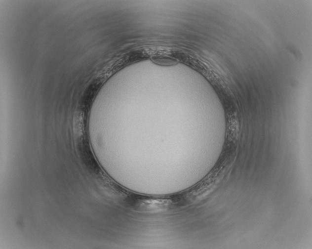 X0000115450323200912021011