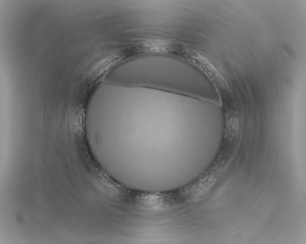 X0000115450325200912021011