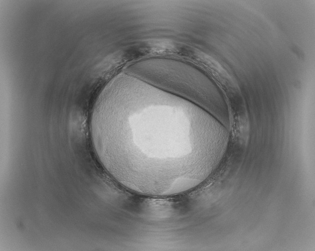 X0000115450327200912021011