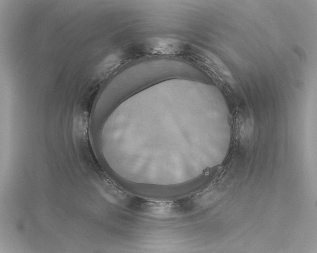 X0000115450328200912021011