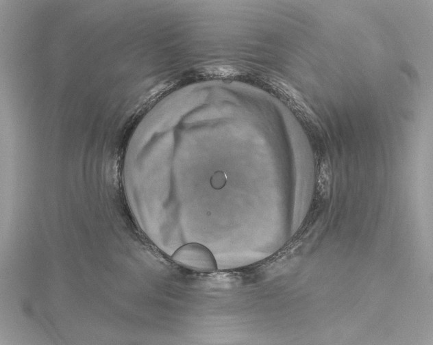 X0000115450330200912021011