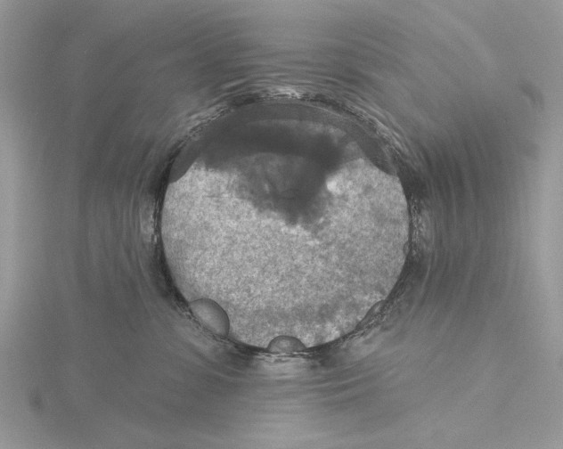 X0000115450331200912021011