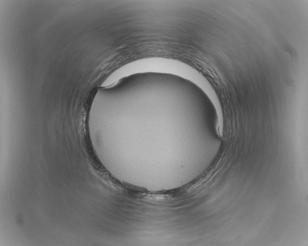 X0000115450332200912021011