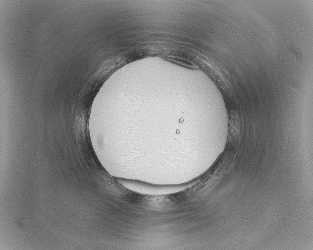 X0000115450333200912021011