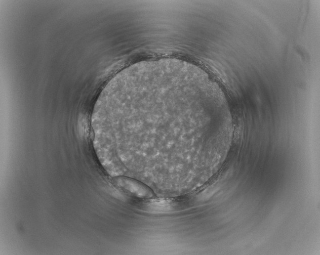 X0000115450335200912021011