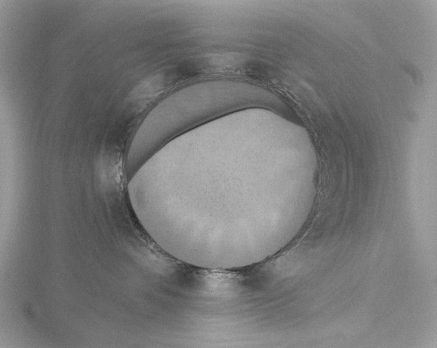 X0000115450336200912021011