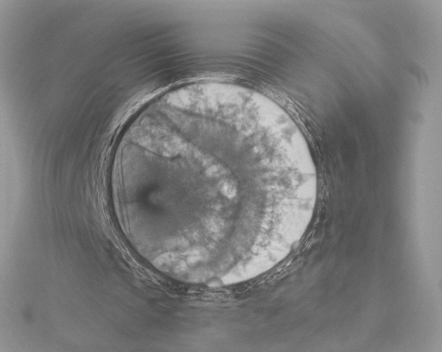 X0000115450337200912021011