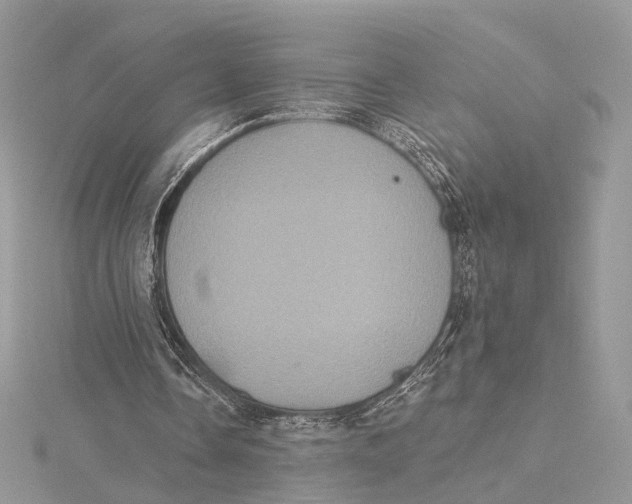 X0000115450338200912021011