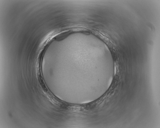 X0000115450339200912021011