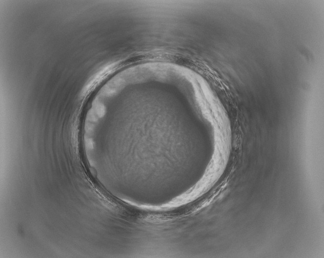 X0000115450341200912021011