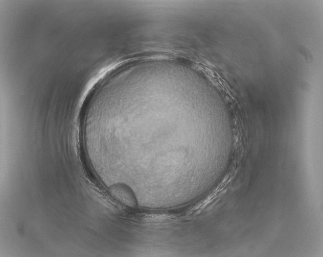 X0000115450342200912021011