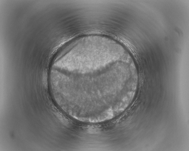 X0000115450345200912021011