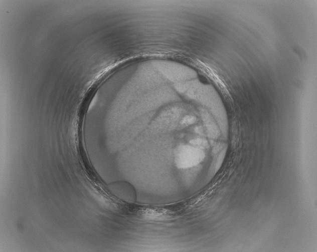 X0000115450346200912021011