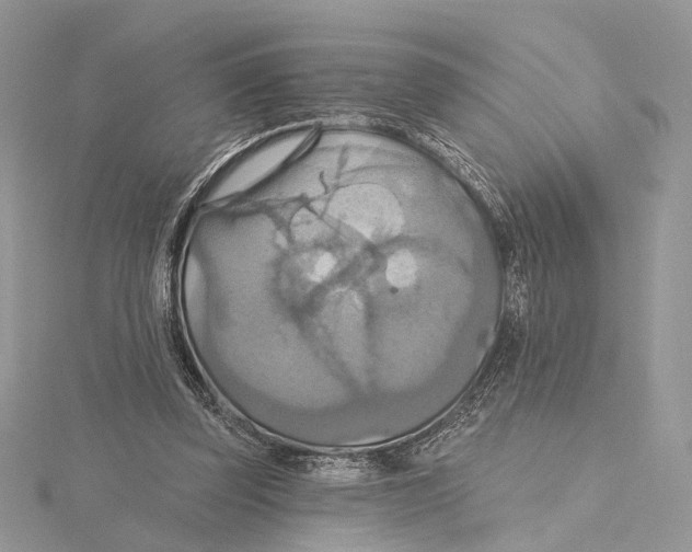 X0000115450347200912021011