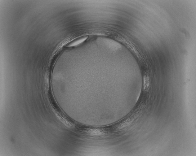 X0000115450349200912021011