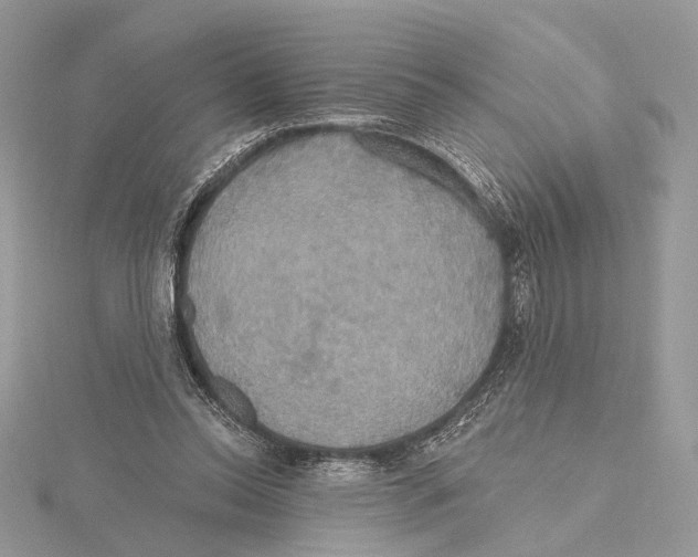 X0000115450350200912021011