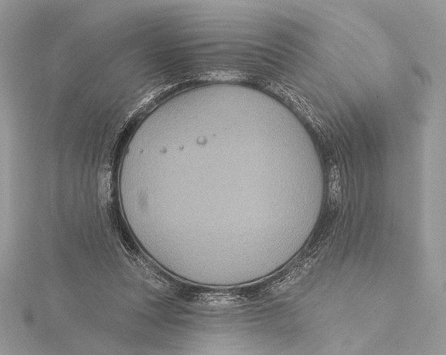 X0000115450351200912021011