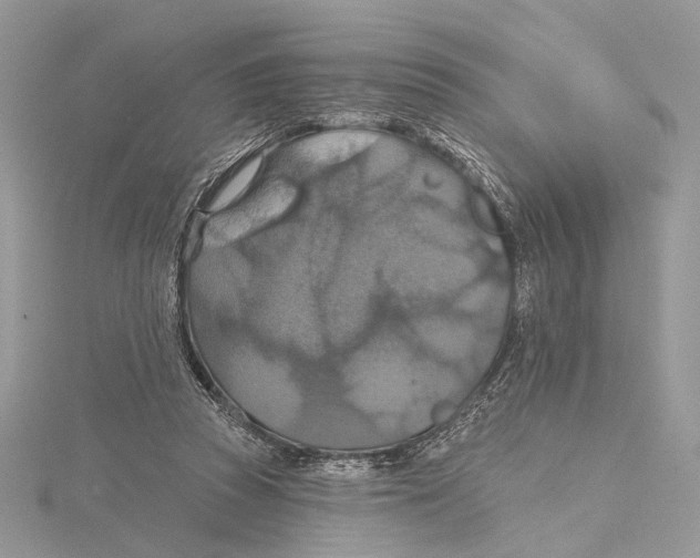 X0000115450353200912021011