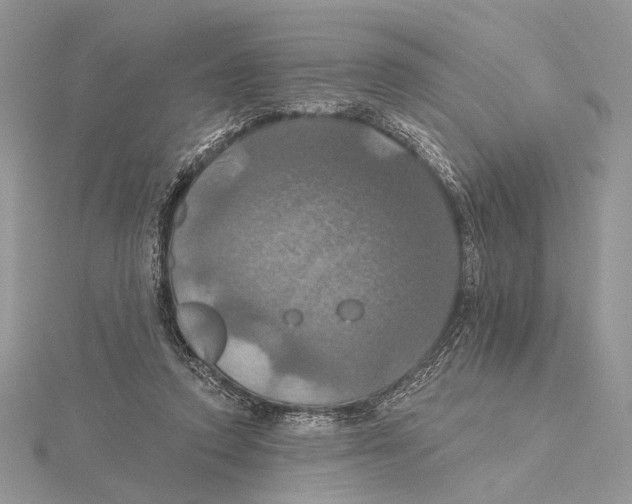 X0000115450354200912021011