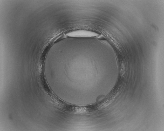 X0000115450355200912021011