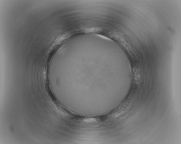 X0000115450357200912021011