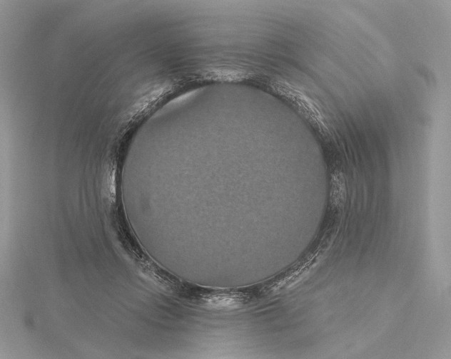 X0000115450358200912021011