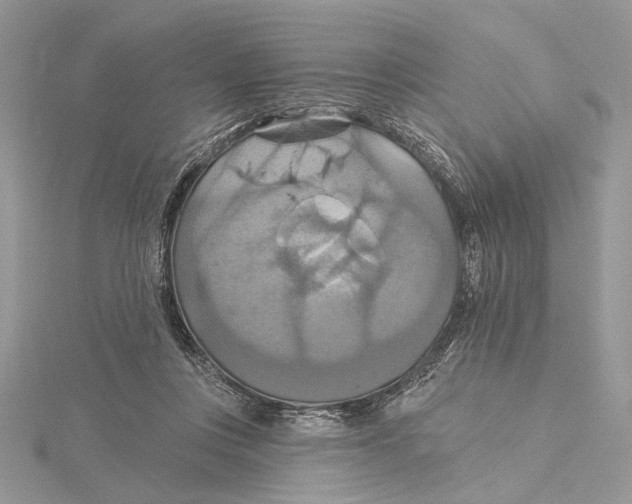 X0000115450359200912021011