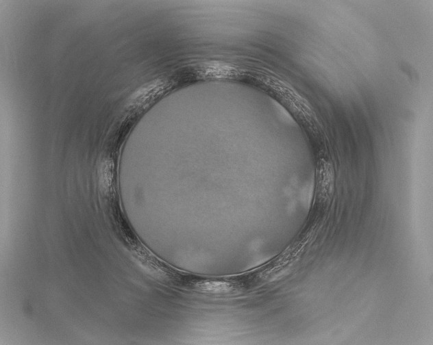 X0000115450361200912021011