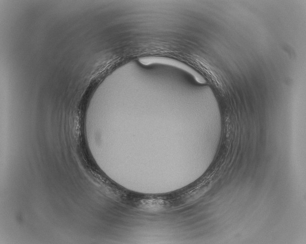 X0000115450362200912021011