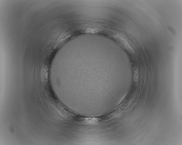 X0000115450363200912021011